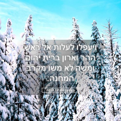 Picture 05 - במדבר 14:44 HEB - ויעפלו לעלות אל ראש ההר - Bible Verse Picture