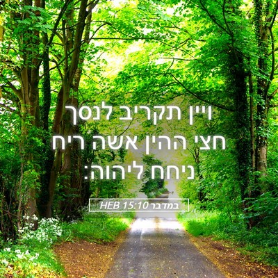 Picture 05 - במדבר 15:10 HEB - ויין תקריב לנסך חצי ההין - Bible Verse Picture