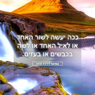 Picture 05 - במדבר 15:11 HEB - ככה יעשה לשור האחד או לאיל - Bible Verse Picture