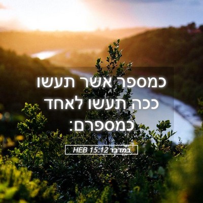 Picture 05 - במדבר 15:12 HEB - כמספר אשר תעשו ככה תעשו - Bible Verse Picture