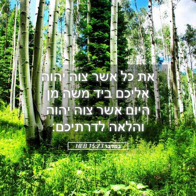 Picture 05 - במדבר 15:23 HEB - את כל אשר צוה יהוה אליכם - Bible Verse Picture