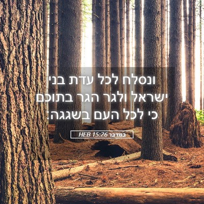 Picture 05 - במדבר 15:26 HEB - ונסלח לכל עדת בני ישראל - Bible Verse Picture