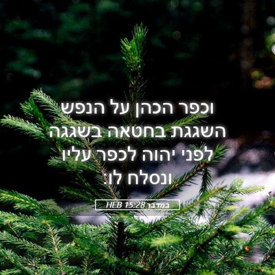 Picture 05 - במדבר 15:28 HEB - וכפר הכהן על הנפש השגגת - Bible Verse Picture