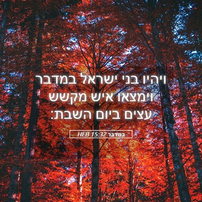 Picture 05 - במדבר 15:32 HEB - ויהיו בני ישראל במדבר - Bible Verse Picture