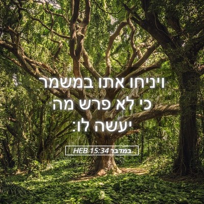 Picture 05 - במדבר 15:34 HEB - ויניחו אתו במשמר כי לא פרש - Bible Verse Picture