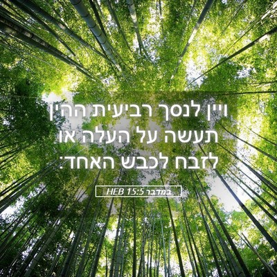 Picture 05 - במדבר 15:5 HEB - ויין לנסך רביעית ההין תעשה - Bible Verse Picture