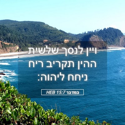 Picture 05 - במדבר 15:7 HEB - ויין לנסך שלשית ההין תקריב - Bible Verse Picture