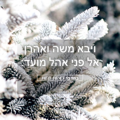 Picture 05 - במדבר 16:43 HEB - ויבא משה ואהרן אל פני אהל - Bible Verse Picture