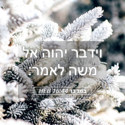 Picture 05 - במדבר 16:44 HEB - וידבר יהוה אל משה - Bible Verse Picture