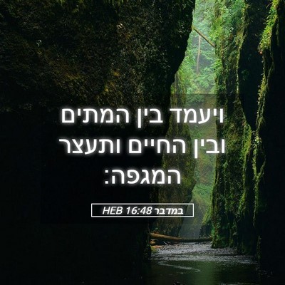 Picture 05 - במדבר 16:48 HEB - ויעמד בין המתים ובין החיים - Bible Verse Picture