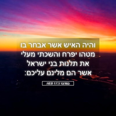 Picture 05 - במדבר 17:5 HEB - והיה האיש אשר אבחר בו מטהו - Bible Verse Picture