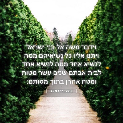 Picture 05 - במדבר 17:6 HEB - וידבר משה אל בני ישראל - Bible Verse Picture