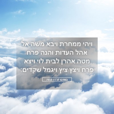 Picture 05 - במדבר 17:8 HEB - ויהי ממחרת ויבא משה אל אהל - Bible Verse Picture