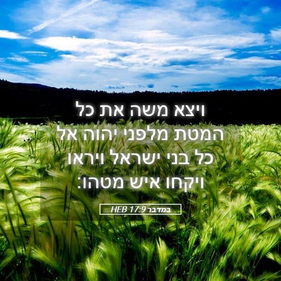 Picture 05 - במדבר 17:9 HEB - ויצא משה את כל המטת מלפני - Bible Verse Picture
