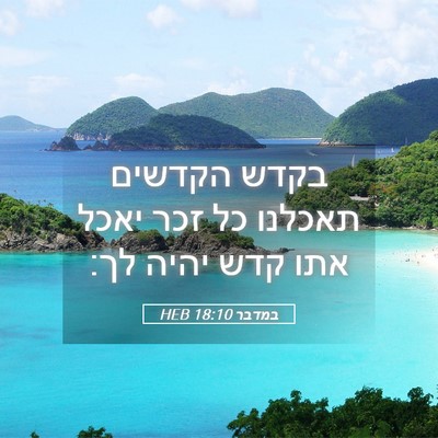 Picture 05 - במדבר 18:10 HEB - בקדש הקדשים תאכלנו כל זכר - Bible Verse Picture