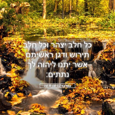 Picture 05 - במדבר 18:12 HEB - כל חלב יצהר וכל חלב תירוש - Bible Verse Picture