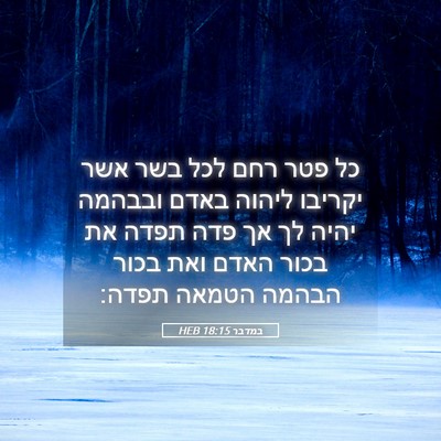 Picture 05 - במדבר 18:15 HEB - כל פטר רחם לכל בשר אשר - Bible Verse Picture