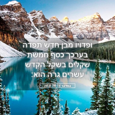 Picture 05 - במדבר 18:16 HEB - ופדויו מבן חדש תפדה בערכך - Bible Verse Picture