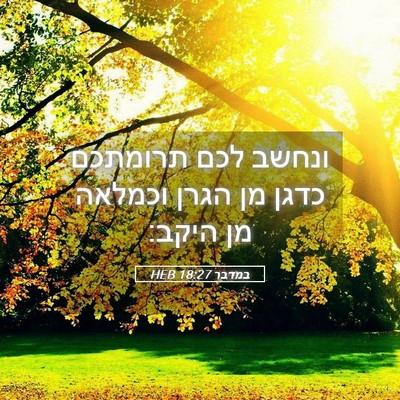 Picture 05 - במדבר 18:27 HEB - ונחשב לכם תרומתכם כדגן מן - Bible Verse Picture