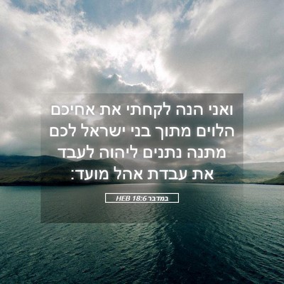 Picture 05 - במדבר 18:6 HEB - ואני הנה לקחתי את אחיכם - Bible Verse Picture