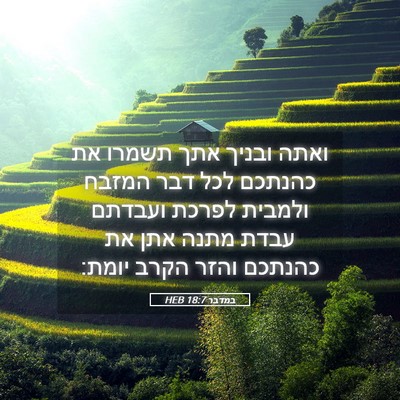 Picture 05 - במדבר 18:7 HEB - ואתה ובניך אתך תשמרו את - Bible Verse Picture