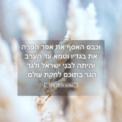 Picture 05 - במדבר 19:10 HEB - וכבס האסף את אפר הפרה את - Bible Verse Picture