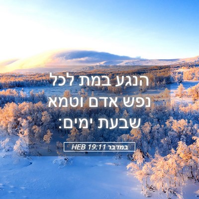Picture 05 - במדבר 19:11 HEB - הנגע במת לכל נפש אדם וטמא - Bible Verse Picture