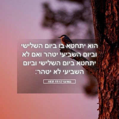 Picture 05 - במדבר 19:12 HEB - הוא יתחטא בו ביום השלישי - Bible Verse Picture