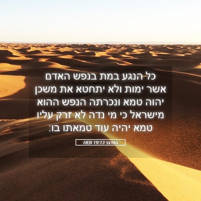 Picture 05 - במדבר 19:13 HEB - כל הנגע במת בנפש האדם אשר - Bible Verse Picture