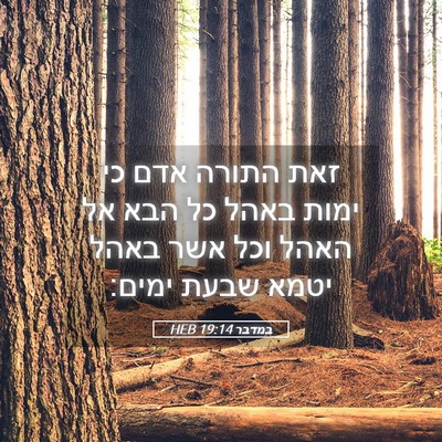 Picture 05 - במדבר 19:14 HEB - זאת התורה אדם כי ימות באהל - Bible Verse Picture