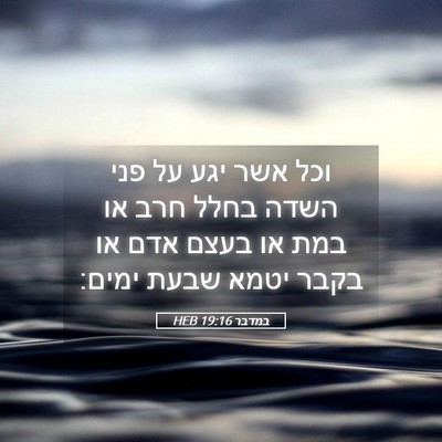Picture 05 - במדבר 19:16 HEB - וכל אשר יגע על פני השדה - Bible Verse Picture