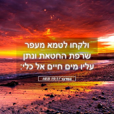Picture 05 - במדבר 19:17 HEB - ולקחו לטמא מעפר שרפת החטאת - Bible Verse Picture