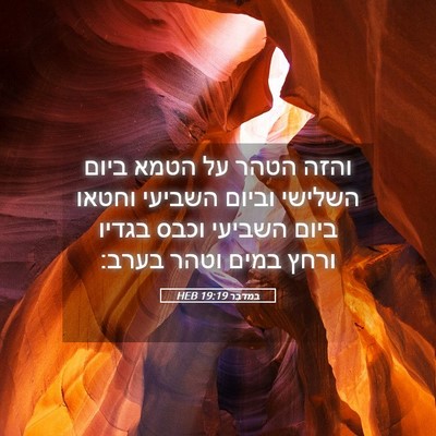 Picture 05 - במדבר 19:19 HEB - והזה הטהר על הטמא ביום - Bible Verse Picture