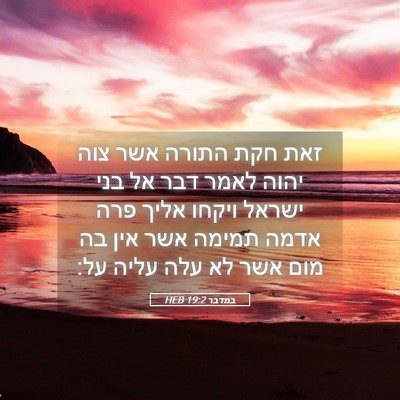 Picture 05 - במדבר 19:2 HEB - זאת חקת התורה אשר צוה יהוה - Bible Verse Picture