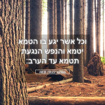 Picture 05 - במדבר 19:22 HEB - וכל אשר יגע בו הטמא יטמא - Bible Verse Picture