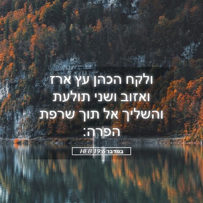 Picture 05 - במדבר 19:6 HEB - ולקח הכהן עץ ארז ואזוב ושני - Bible Verse Picture