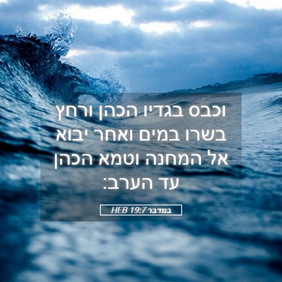 Picture 05 - במדבר 19:7 HEB - וכבס בגדיו הכהן ורחץ בשרו - Bible Verse Picture