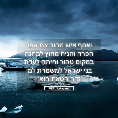 Picture 05 - במדבר 19:9 HEB - ואסף איש טהור את אפר הפרה - Bible Verse Picture