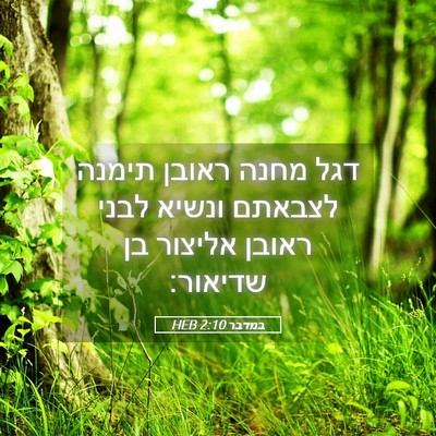 Picture 05 - במדבר 2:10 HEB - דגל מחנה ראובן תימנה - Bible Verse Picture