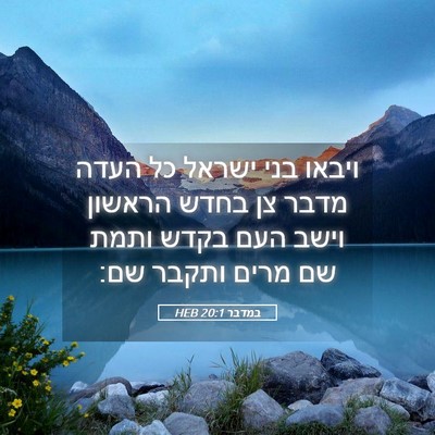 Picture 05 - במדבר 20:1 HEB - ויבאו בני ישראל כל העדה - Bible Verse Picture
