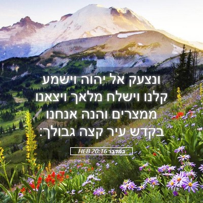 Picture 05 - במדבר 20:16 HEB - ונצעק אל יהוה וישמע קלנו - Bible Verse Picture