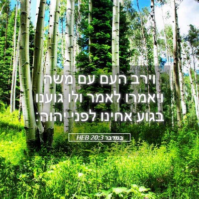 Picture 05 - במדבר 20:3 HEB - וירב העם עם משה ויאמרו לאמר - Bible Verse Picture