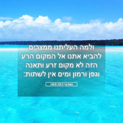 Picture 05 - במדבר 20:5 HEB - ולמה העליתנו ממצרים להביא - Bible Verse Picture