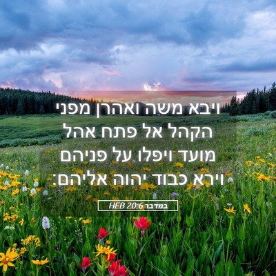 Picture 05 - במדבר 20:6 HEB - ויבא משה ואהרן מפני הקהל אל - Bible Verse Picture