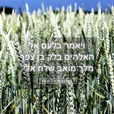 Picture 05 - במדבר 22:10 HEB - ויאמר בלעם אל האלהים בלק בן - Bible Verse Picture