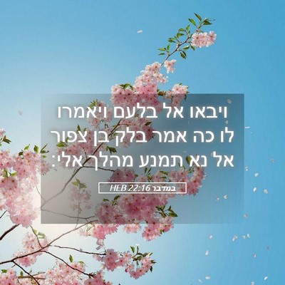Picture 05 - במדבר 22:16 HEB - ויבאו אל בלעם ויאמרו לו כה - Bible Verse Picture