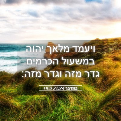 Picture 05 - במדבר 22:24 HEB - ויעמד מלאך יהוה במשעול - Bible Verse Picture