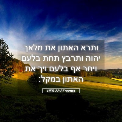 Picture 05 - במדבר 22:27 HEB - ותרא האתון את מלאך יהוה - Bible Verse Picture