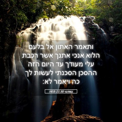 Picture 05 - במדבר 22:30 HEB - ותאמר האתון אל בלעם הלוא - Bible Verse Picture