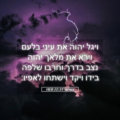Picture 05 - במדבר 22:31 HEB - ויגל יהוה את עיני בלעם וירא - Bible Verse Picture